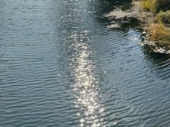 -昆山城市生态森林公园