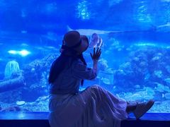 -重庆欢乐海底世界