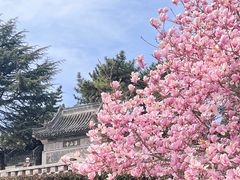 -湛山寺