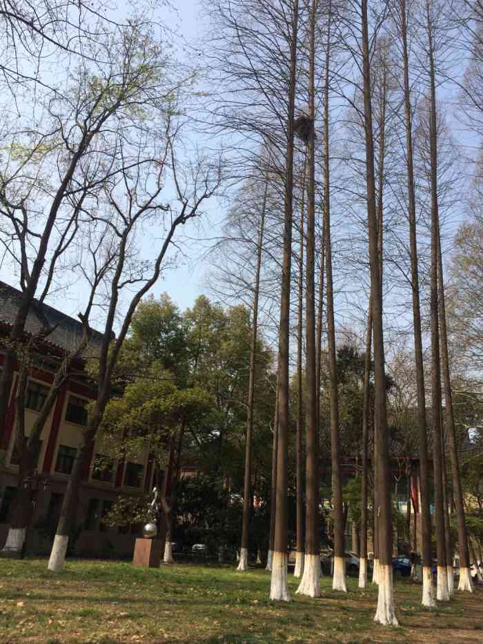 南京師範大學隨園校區-600號樓-