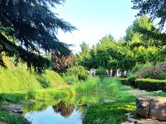 -函谷关历史文化旅游区