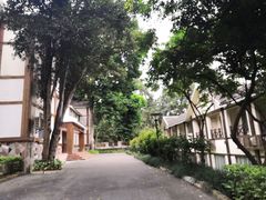 -南宁良凤江国家森林公园