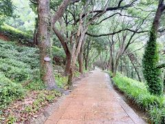 -普陀山风景名胜区-法雨禅寺