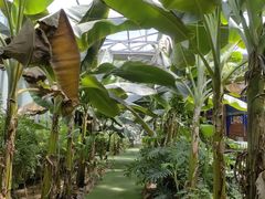 -呀路古热带植物园