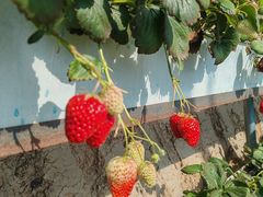 -兴芮温泉度假区