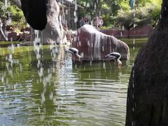 -芽庄珍珠岛游乐园