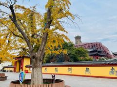 -上海东林寺(金山区)
