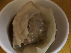 鲜肉鸡汁汤包-笑云开汤包店(网巾市店)