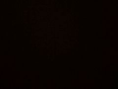 -欧贝拉蛋糕店(东门路店)