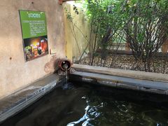-仁爱团泊湖温泉中心