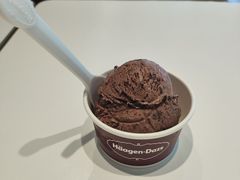 -哈根达斯(上海金山店)