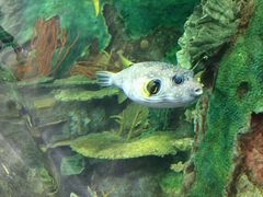 -广东省拱北口岸中国旅行社(华宾营业部)