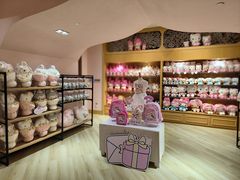 -安吉Hello Kitty乐园