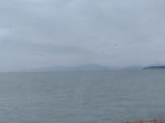 -七鲜渔港美食餐厅(巽寮湾海景店)