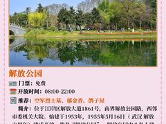 -解放公园
