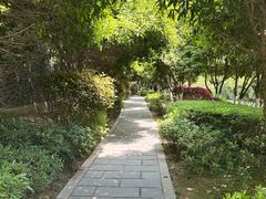 -八大山人梅湖景区