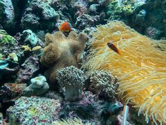 -鹿儿岛水族馆