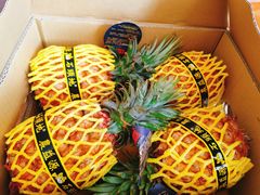 -上海龙吴水胜海发市场