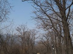 -阳台山自然风景区