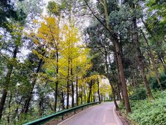 -金堂县云顶石城风景区