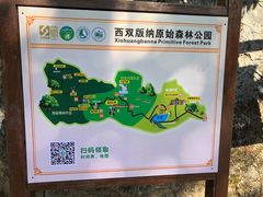 -西双版纳原始森林公园