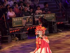 -广州长隆国际大马戏