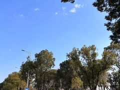 -华东政法大学(松江校区)