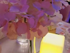 -樱花里音乐餐吧·牛扒椰子鸡(东圃店)