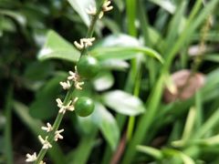 -杭州九堡客运中心