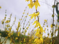 -黄兴公园