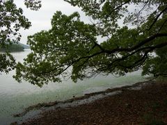 -东湖落雁景区