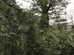 -法云安缦酒店