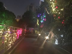 -宝莱纳啤酒花园餐厅PAULANER BRAUHAUS Nanjing(广州路店)