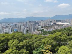 -金鸡山公园