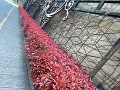 -半岛1919创意园区