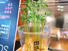 -饵块食光·云南有机手作饵块