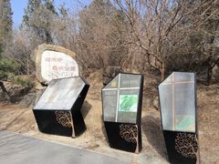 -白水寺森林公园
