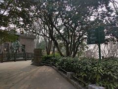 -紫金山天文台