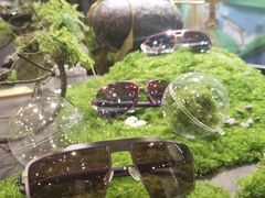 -大视光学•LINDBERG林德伯格•全球手工眼镜集合店(王府井店)