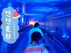 -白鹤梁水下博物馆
