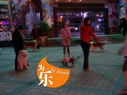 -富力儿童世界(富力广场店)