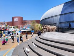 -烟台海昌鲸鲨海洋公园