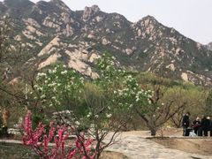 -北京凤凰岭
