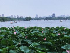 -济南大明湖景区