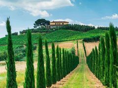 -清真·锦翔炝锅鱼(明德门店)