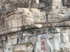 -仙蘑洞