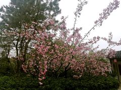 景点-赵园·曾园