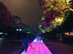 -武汉两江游览·夜游长江(汉口粤汉码头)