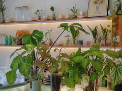 -绿小院(荔湾店)