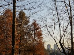 -浙江农林大学(东湖校区)
